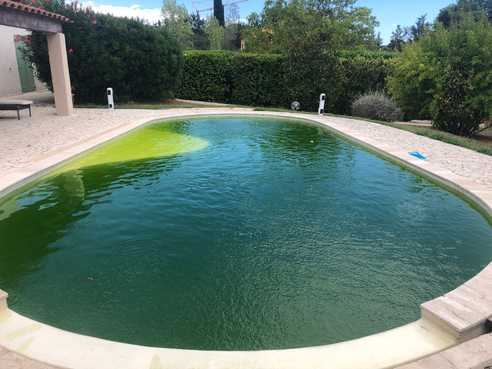 Avant - Remise en État Piscine Verte
